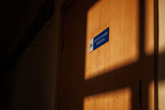 Birželį LŠDPS planuoja protestus dėl atleistos mokytojos M. Platūkienės