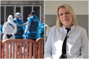 Hantaviruso protrūkis tęsiasi: augančio nerimo fone – atsakymas apie užsikrėtimo pavojų Lietuvoje