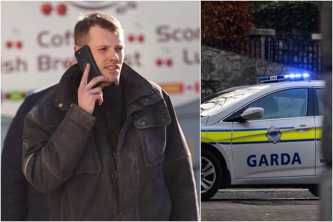 Jaunas lietuvis „pagarsino“ šalies vardą Airijoje: sutramdyti kelių erelį prireikė sraigtasparnio, bet vėliau išlindo ir kitų dalykų