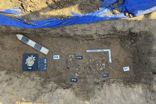 Dar vienas sėkmingas pasivaikščiojimas: aptiko sidabro monetų lobį