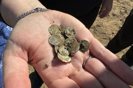 Dar vienas sėkmingas pasivaikščiojimas: aptiko sidabro monetų lobį