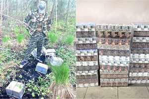 Krūmuose besislapstantį nuolatinį baltarusiškų cigarečių „kurjerį“ surado tarnybinis pasieniečių šuo