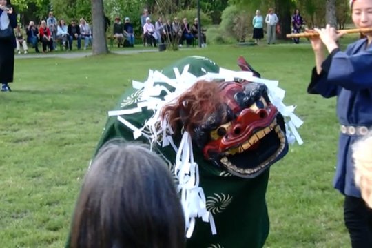 Kaune – Japonijos dienos: festivalyje laukia eisenos, ekskursijos ir kultūrinės patirtys