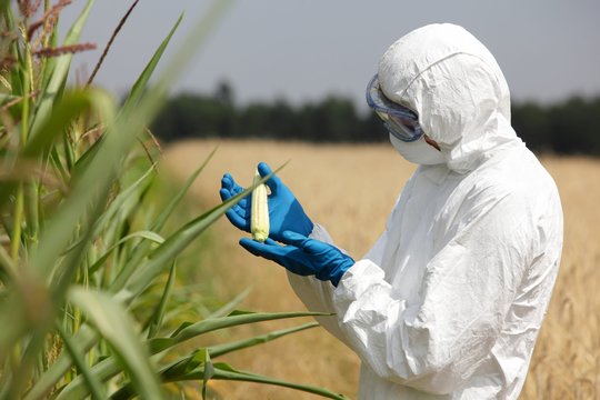 Paaiškėjo daugiau detalių apie pavojingo viruso protrūkį: miršta kas trečias užsikrėtęs