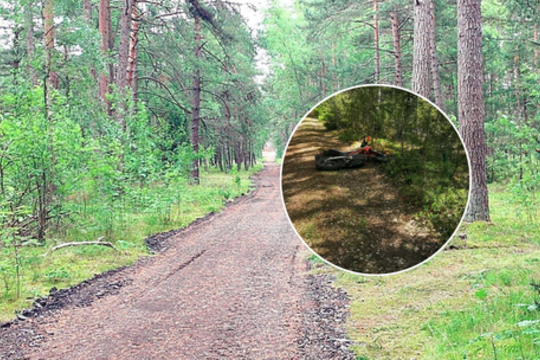 Miške – siaubingi spąstai: motociklininkas krito ant žemės draugo akyse