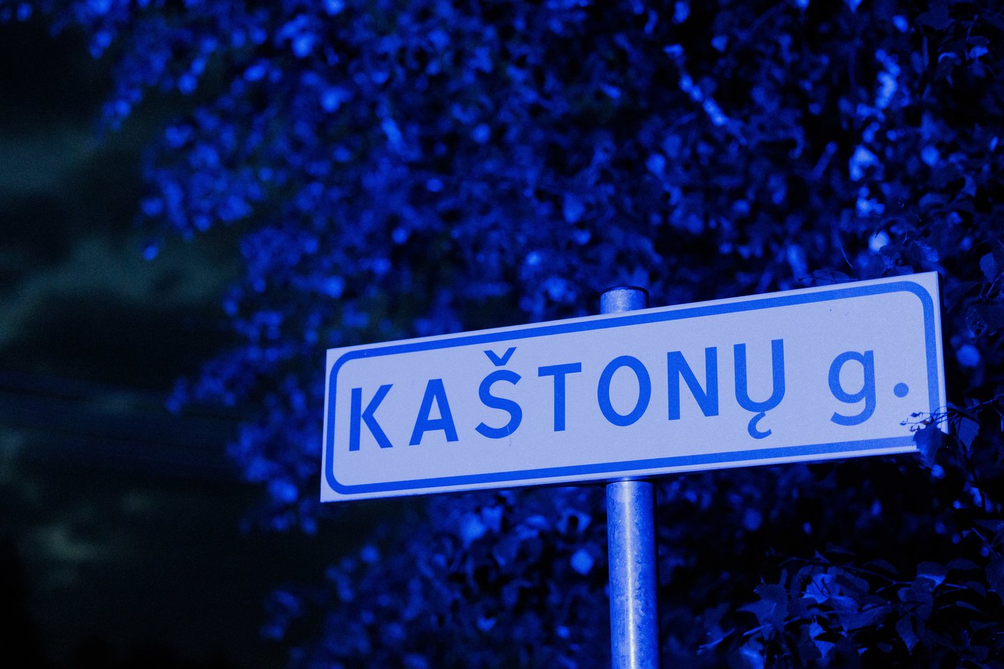 Utenos rajone nukrito dronas.<br>V.Skaraičio nuotr.