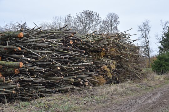 Praėjusios žiemos pamoka: rezervai būtini, loterija netoleruotina