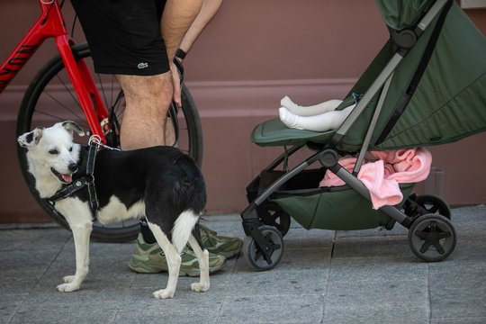 Seimas svarstys siūlymą vertinti įstatymų poveikį demografijai