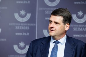 R. Žemaitaitis nesutiktų keisti Konstitucijos nuostatos dėl branduolinio ginklo: reikia referendumo