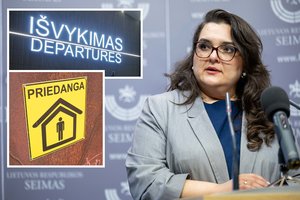 Po pavojaus signalų – Valstybės kontrolierės kritika: papasakojo, kas dėjosi Vilniaus oro uoste
