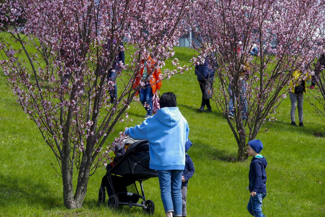 Seime mėgins dar kartą prastumti planą dėl mamadienių: jais būtų galima naudotis ilgiau