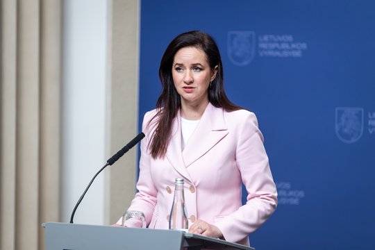 Praėjus savaitei po kratų pas „aušriečius“ – I. Ruginienės reakcija: „Nevertinkime proceso“