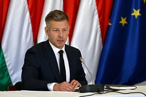 P. Magyaras: jokia ne paslaptis, kaip nugalėjau V. Orbaną