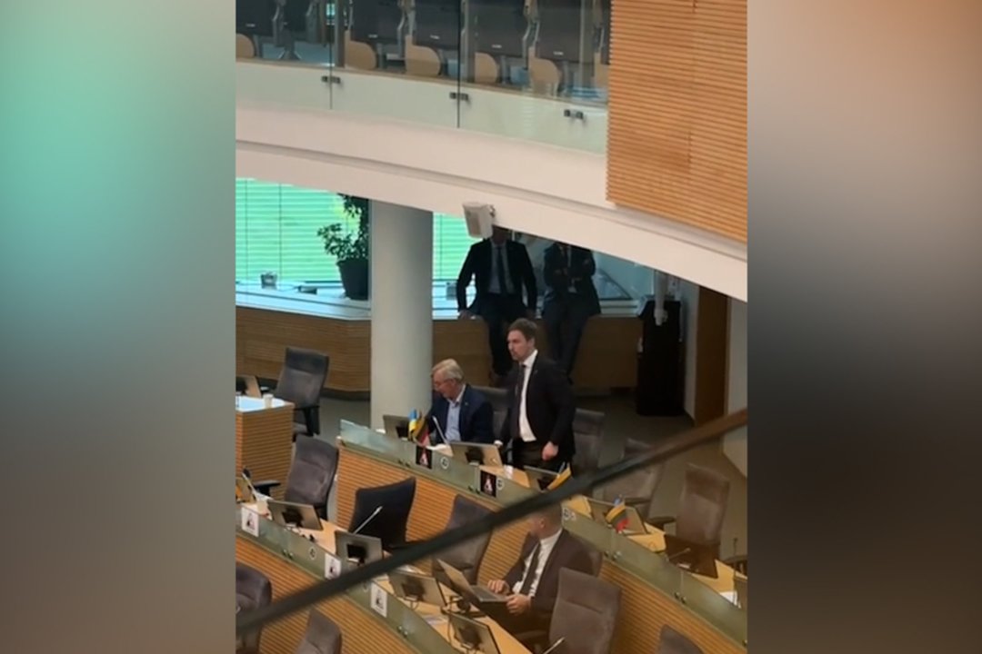 R. Kauno pasisakymai supykdė D. Griškevičių: teko raminti