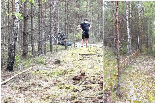 Pasieniečiams įkliuvo su krūva pinigų iš Lietuvos į Baltarusiją sprukti pasiruošęs Lenkijos pilietis