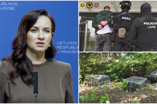 I. Ruginienė pareigūnų sulaikymą vadina precedento neturinčiu atveju: tai kelia rimtus klausimus valstybei