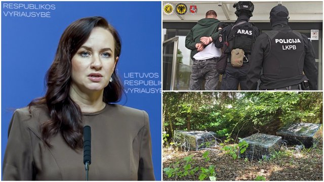 I. Ruginienė pareigūnų sulaikymą vadina precedento neturinčiu atveju: tai kelia rimtus klausimus valstybei