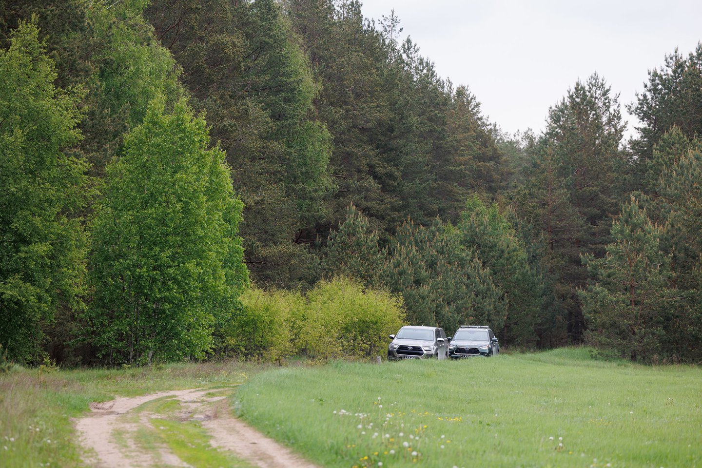 Pirmųjų galimai sieną kirtusių dronų paieška Lietuvoje.<br>T. Bauro nuotr.