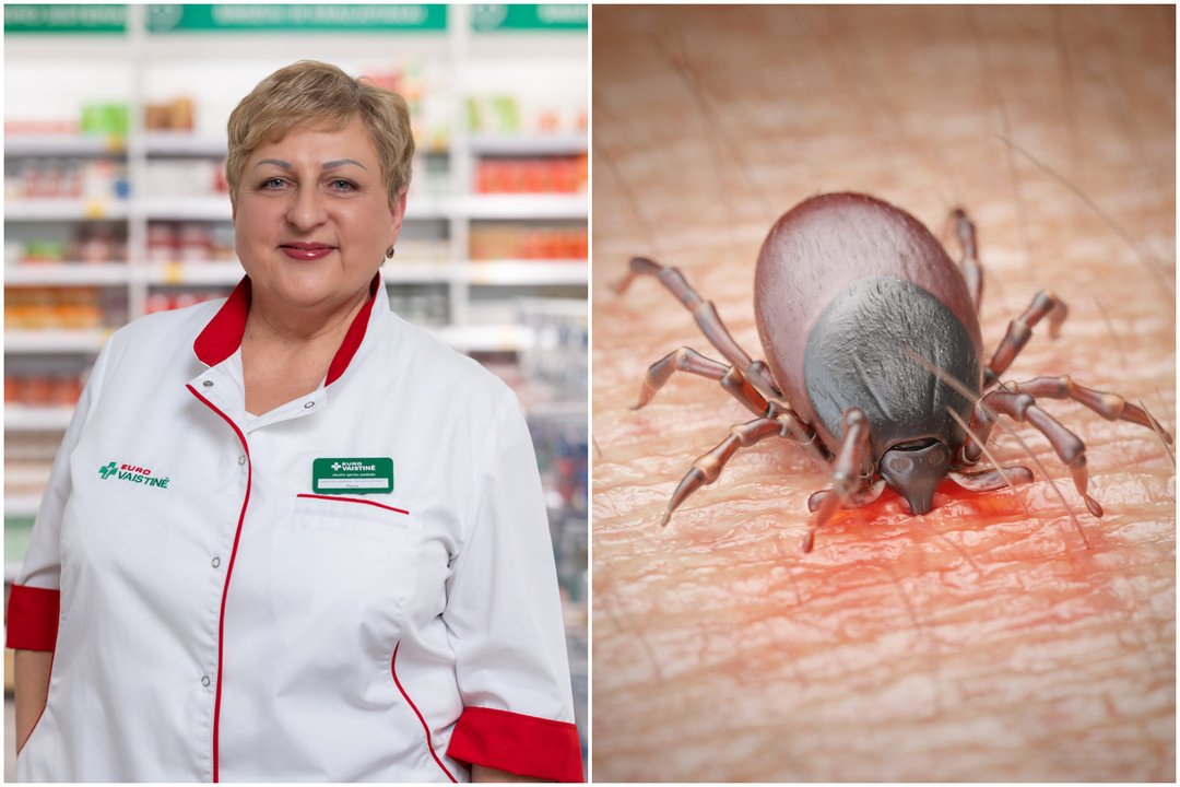 Planuojantiems savaitgalį vykti į gamtą: kokių svarbiausių klaidų vengti, traukiant erkę?