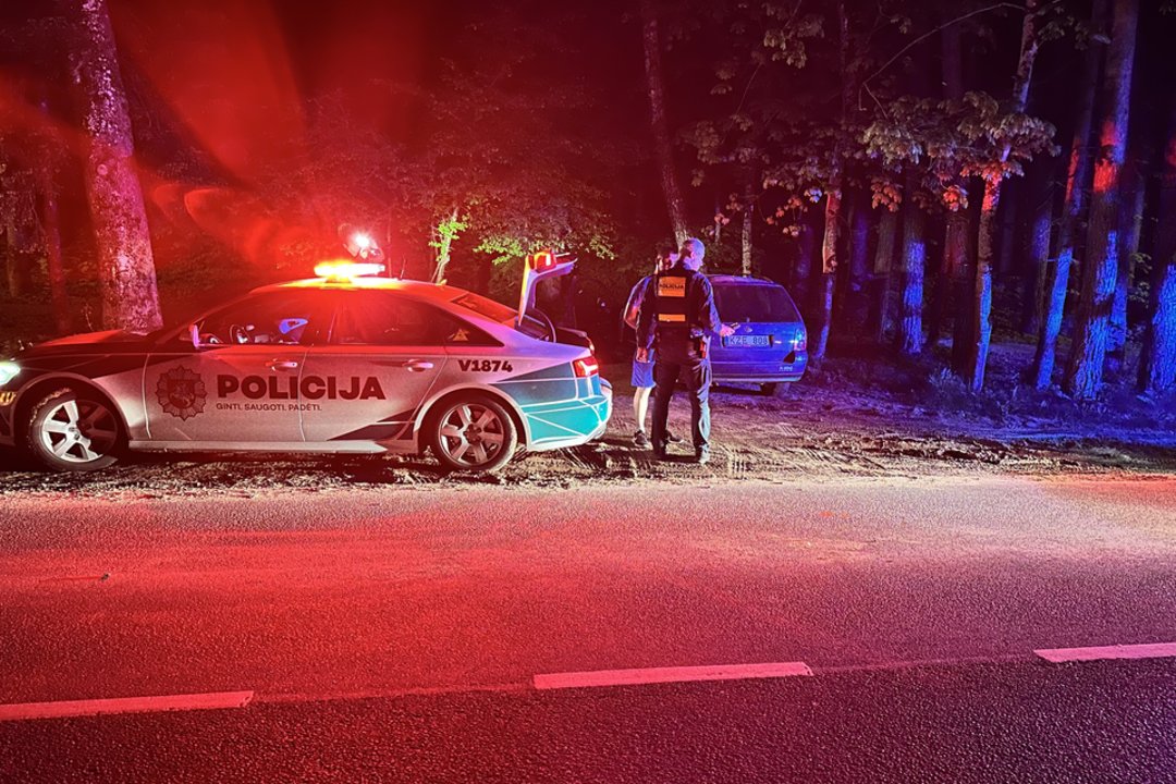  Reidas Vilniuje.<br> A. Vaitkevičiaus nuotr.