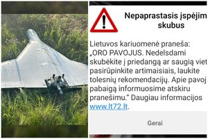 Ekspertas – apie valdžios reakciją į oro pavojų: „Informacinę hibridinę ataką mes praleidome“