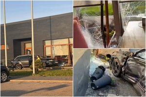 Alytaus r. automobilis įskriejo į kavinę: „Vakarienė vos netapo paskutine vakariene“