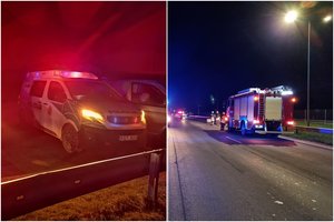 Kelyje „Via Baltica“ briedis sukėlė rimtą avariją: į ligoninę išvežtas vaikas ir vyras, apdaužyti du automobiliai