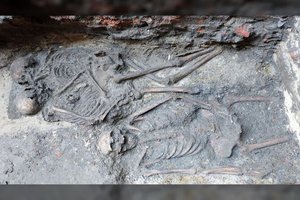 Ne sutuoktiniai, o dvi moterys: DNR tyrimas atskleidė netikėtą viduramžių Lenkijos kapo paslaptį
