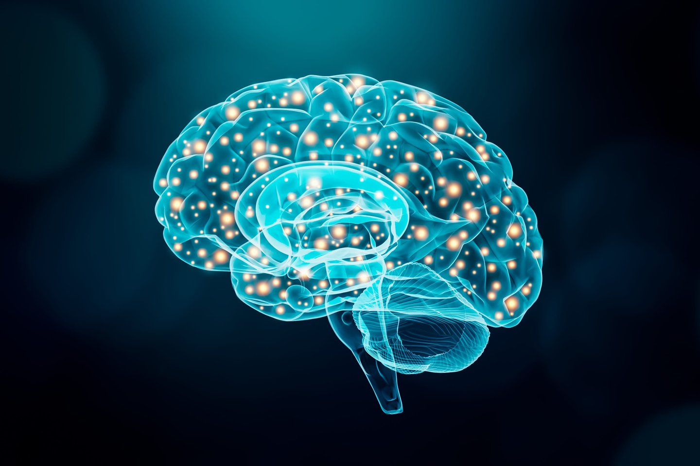 Žmogaus smegenys<br>123rf nuotr.