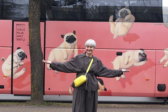 Menininkė M. Kosinskaitė: „Stengiuosi kurti taip, kad savo paveikslą norėčiau pasikabinti ant sienos“