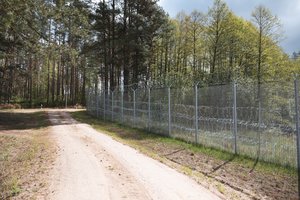 VSAT: pasieniečiai į Lietuvą neįleido šešių neteisėtų migrantų