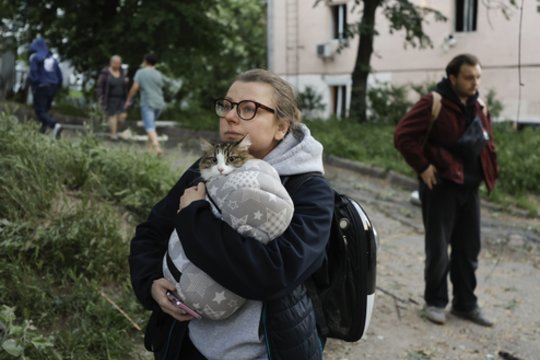 Gyvūnų gelbėjimas Ukrainoje – be pabaigos: traumas ir šoką patyrusiems benamiams suteikia paskutinį šansą