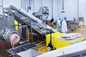 Aiškinasi, kaip 140 filipiniečių buvo įdarbinti Lietuvos paukštynuose: pradėtas tyrimas dėl galimos prekybos žmonėmis 