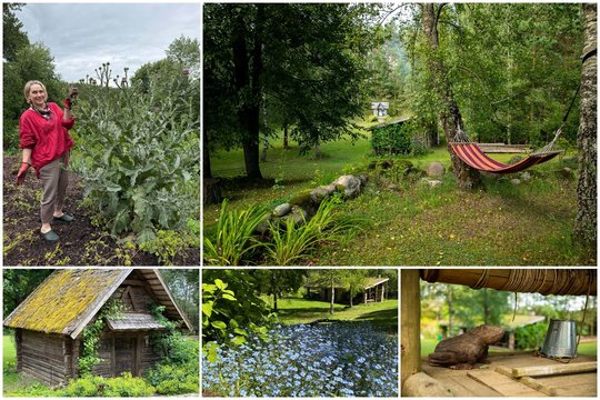 Ilgai Vilniuje pragyvenusi Eglė neatsispyrė dzūkiškų džiunglių vilionėms: sunku patikėti, ką sukūrė iš senos sodybos