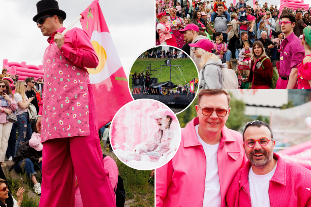Vilniuje prasidėjo „Šaltibarščių festivalis“.<br>Lrytas fotomontažas.