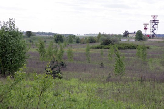 NŽT skelbia, kiek gauta pinigų už parduotą valstybinę žemę 