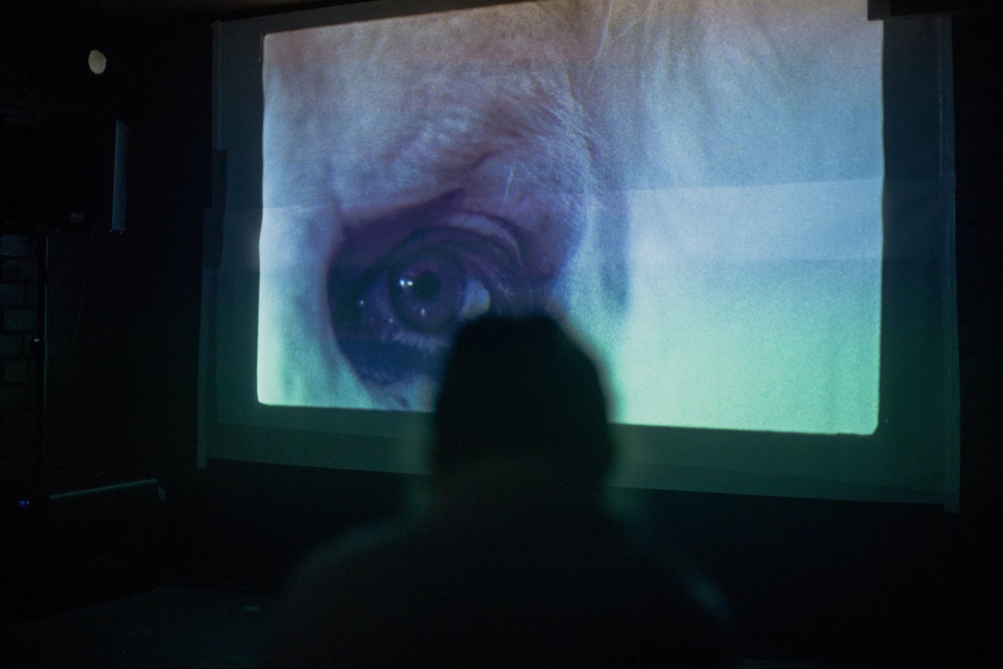 „Scanorama“ skelbia vasarą: utopiški kino vakarai sostinėje ir atidarymo renginys kultūros komplekse „Sodas 2123“.<br>PR siuntėjo nuotr.