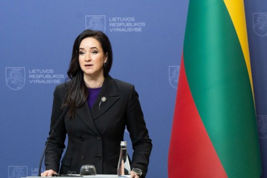 I. Ruginienės veiksmus RC skandale sieja su G. Palucko istorija: bando iki paskutinės minutės neigti
