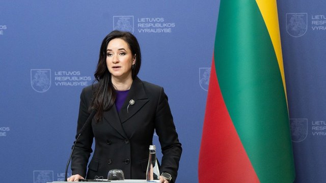 I. Ruginienės veiksmus RC skandale sieja su G. Palucko istorija: bando iki paskutinės minutės neigti