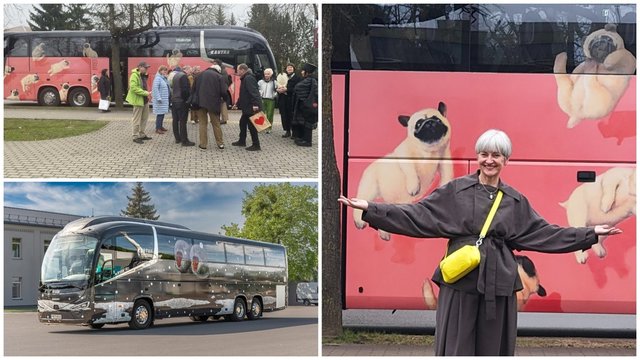Į gatves išrieda M. Kosinkaitės darbais puošti autobusai: keliaujanti galerija pasieks įvairias Lietuvos vietas