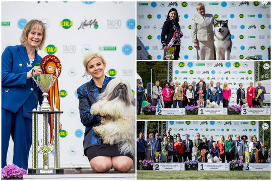 Tarptautinėse parodose Palangoje – Lietuvos šunų triumfas