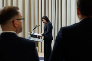 Politologai apie Registrų centro skandalą: politinė atsakomybė pasimetė tarp skirtingų institucijų