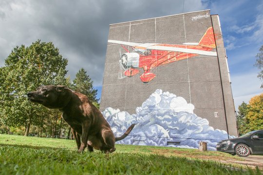 Mokslininkai atskleidė netikėtą priežastį, kodėl šunys prieš atlikdami gamtinius reikalus ilgai sukasi vietoje