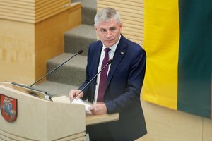 Pusmetį trukusi agonija baigta: Seimas priėmė LRT įstatymo pataisas