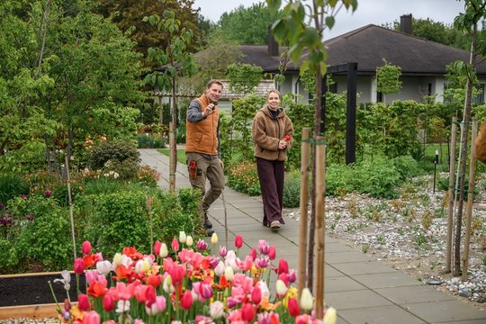 Agronomas T. Gurskas parodė savo gėlių sodą ir atsakė į klausimą, kuris kasmet kiršina sodininkus