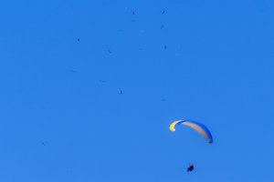 Zarasų rajone į ežerą smigo parasparnis – išgelbėti du žmonės
