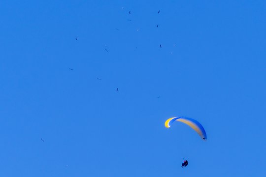 Zarasų rajone į ežerą smigo parasparnis – išgelbėti du žmonės