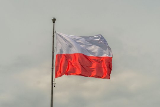 Lenkijos mokyklų šuolis: sėkmės ir klaidų pamokos Lietuvai