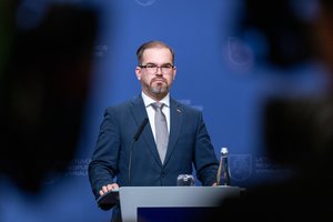 R. Kaunas: taikos sąlygomis Lietuvoje niekas nekalba apie jokio masinio naikinimo ginklo dislokavimą