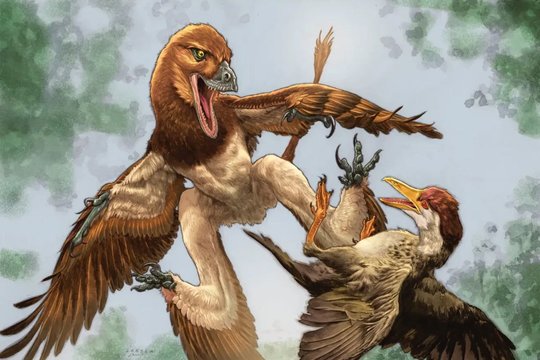 „Mažas ketursparnis drakonas“: paleontologai aptiko naują ir įspūdingą dinozaurų rūšį